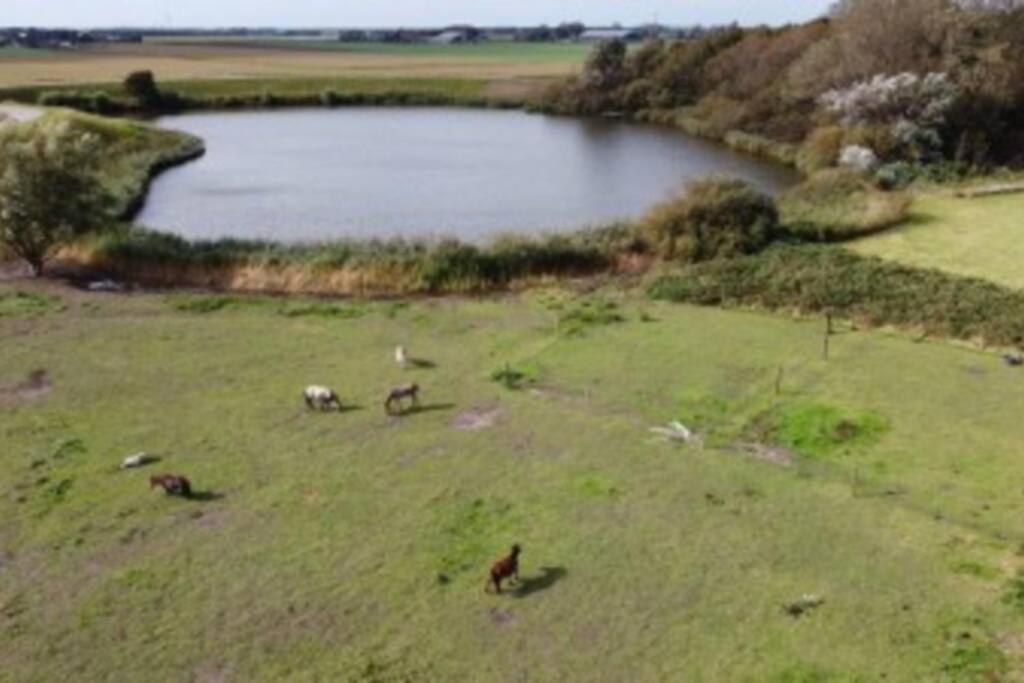 B&B Hoeve Dijkstal Logeren Op De Boerderij Сінт-Мартен Екстер'єр фото